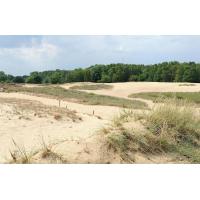 2234_5606 Dünenlandschaft in der Boberger Niederung - Wanderdüne im Naturschutzgebiet. | 